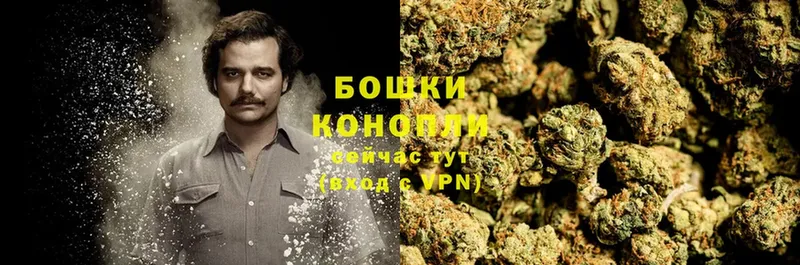 Бошки Шишки Bruce Banner  МЕГА ссылка  Йошкар-Ола 